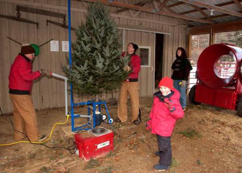 Setting up deals a christmas tree